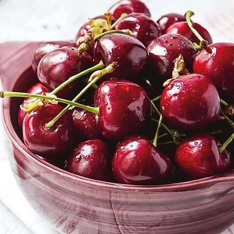 Cherry 'Stella' Bare Root 3 Cherry 'Stella' Bare Root - Image 3