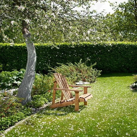 Single Chair Relax 1 Single Chair Relax