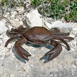 Crab Garden Ornament In Cast Iron -Green Haven Shop 2873 6