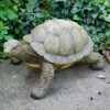 Large Tortoise Garden Animal Ornament