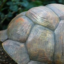 Large Tortoise Garden Animal Ornament 7 Large Tortoise Garden Animal Ornament -Green Haven Shop 3617 2