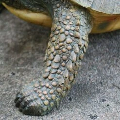 Large Tortoise Garden Animal Ornament 8 Large Tortoise Garden Animal Ornament -Green Haven Shop 3617 3