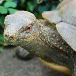 Large Tortoise Garden Animal Ornament 9 Large Tortoise Garden Animal Ornament -Green Haven Shop 3617 4