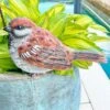 Large Sparrow Bird Garden Ornament