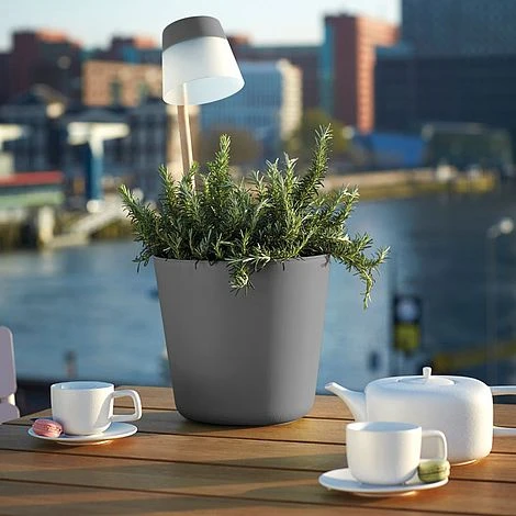 Anthracite Flower Light 1 Anthracite Flower Light