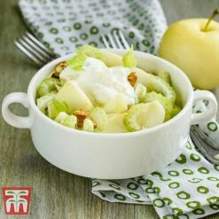 Apple 'Golden Delicious' (Mini Fruit Tree) -Green Haven Shop APPL T10395 C