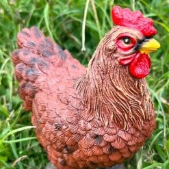 Pair Of Garden Chicken Ornaments -Green Haven Shop FW1006 8