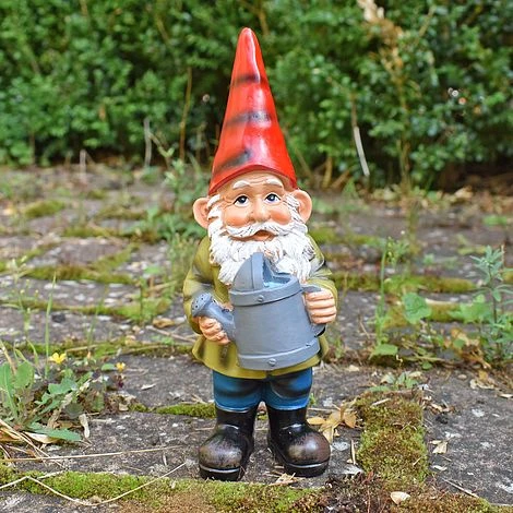 Garden Gnome With Watering Can Outdoor Garden Ornament 1 Garden Gnome With Watering Can Outdoor Garden Ornament