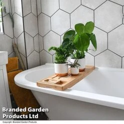 Green Houseplants Bathroom Trio -Green Haven Shop HOUS BATHRTRIO T43636