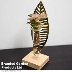 Hydroponic Collection On Display Stand 6 Hydroponic Collection On Display Stand -Green Haven Shop HYDR COLLDISPL T49399