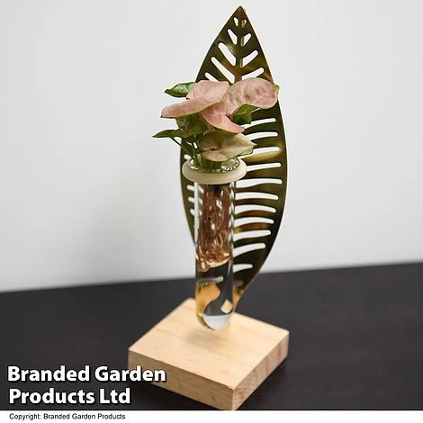 Hydroponic Collection On Display Stand 3 Hydroponic Collection On Display Stand - Image 3