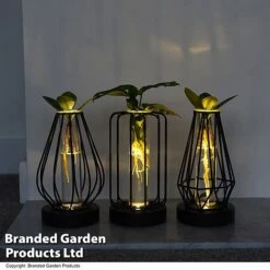 Hydroponic Collection In Turin Glass -Green Haven Shop HYDR LEDTURING T49876