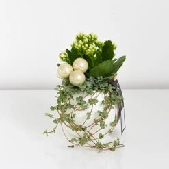 Kalanchoe Christmas Bauble - Gift 13 Kalanchoe Christmas Bauble - Gift -Green Haven Shop KALA CHRISBAUB T44341