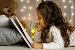 Idooka Outdoor Christmas Lights - Xmas LED Fairy Lighting IP44 Warm/Multicolour/Bright -Green Haven Shop Kid