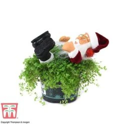 'Mind Your Own Business' Santa - Gift -Green Haven Shop MIND WGKB7085 D