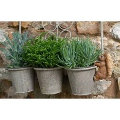 Full Colour Beatrix Potter Squirrel Nutkin Pot Buddy - Pot Hanger -Green Haven Shop PBBP007C 2 new