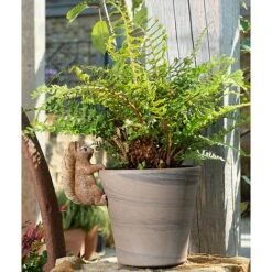 Full Colour Beatrix Potter Squirrel Nutkin Pot Buddy - Pot Hanger -Green Haven Shop PBBP007C 5 new