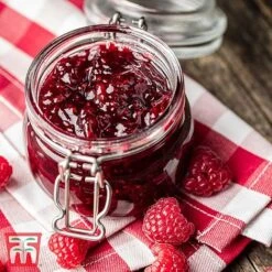 Raspberry Full Season Collection British Bred -Green Haven Shop RASP RECIPE CUL 5