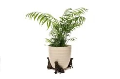 Antique Bronze Coloured Retriever Potty Feet - Plant Pot Feet -Green Haven Shop RETIRVER20 20WHITE20POT20 20PF0042A