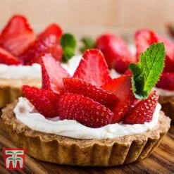 Strawberry Full Season Collection -Green Haven Shop STRA RECIPE CUL