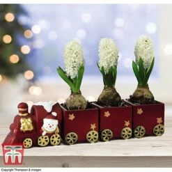 Train Set - Gift -Green Haven Shop TRAI WGKB7083 A