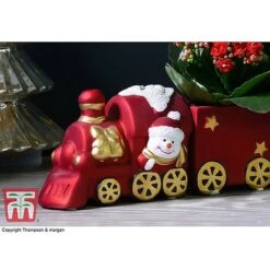 Train Set - Gift -Green Haven Shop TRAI WGKB7083 C