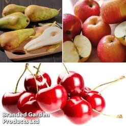 Mini Orchard Pie Trio -Green Haven Shop fruit3b