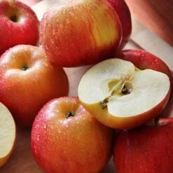 Apple 'Family Apple Tree' 6 Apple 'Family Apple Tree' -Green Haven Shop national apple day braeburn