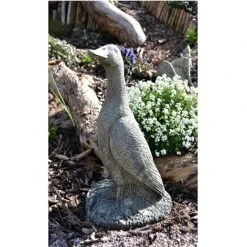 Thelma The Runner Duck